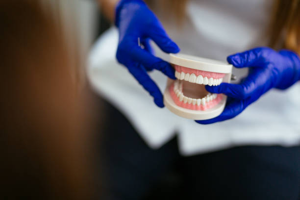 Best Dental Exams and Cleanings  in Barre, VT